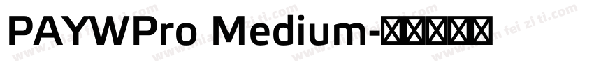 PAYWPro Medium字体转换